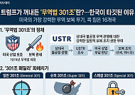 트럼프가 꺼내든 '무역법 301조'란?…한국이 타깃된 이유 [인포그래픽]