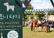 “작은 말과 봄 산책하세요”…렛츠런파크 서울 ‘포니체험’ 14일 재개