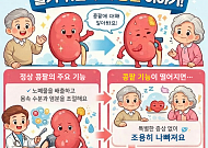 [만화로 보는 시니어 뉴스] ‘침묵의 장기’ 콩팥 건강 관리