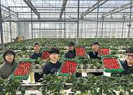 쿠팡, 인구감소지역 딸기 3000톤 매입…지방 농가 ‘구원투수’ 자처