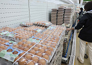 계란 산지가격 공공조사로 바꾸고 담합땐 퇴출…돼지고기 경매도 늘린다