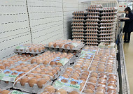 태국산 계란 224만개 푼다…정부, 다음 달부터 순차 공급