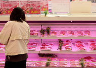 농산물 가격 안정세지만…명태·오징어·닭고기 등 축산·수산물은 줄인상[물가 돋보기]