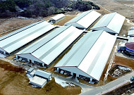 악취·민원 키운 축사, 한 곳에 모은다…스마트축산단지 조성 공모 착수