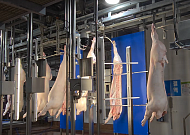 삼겹살 지방비율까지 자동 분석…축평원, AI 돼지 품질평가 장비 확대