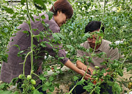 미생물로 수출길 열고 비료는 줄였다…농진청 연구가 바꾼 농업 현장