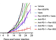 메드팩토, 대장암 삼제병용 전임상 성과 AACR 발표