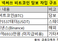 비트코인 담보로 바이낸스서 테더 차입…상장사 가상자산 운용 전략 확장