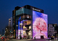 LG전자 ‘D5’, 봄맞이 벚꽃 명소로…미디어 파사드 운영