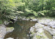하천·계곡 불법점용시설...제주도 집중단속 나서