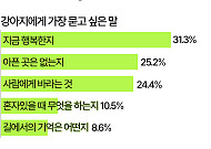 '국제 강아지의 날'…강아지에게 가장 묻고 싶은 말은 "지금 행복하니?" [데이터클립]