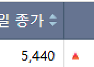 [급등락주 짚어보기] '검은 월요일' 속 대피처·확실한 재료…SK증권우·빛과전자 등 '上'