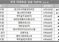 [아파트값 상승 톱10] 경기 수원시 ‘광교호수마을호반써밋’ 등