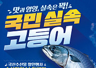 19일간 수산물 최대 50% 할인…'국민 실속 고등어' 공급