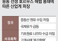 에틸렌 바닥난 船·부품 끊긴 車…호르무즈에 갇힌 ‘K-산업 생명선’ [이란 전쟁 한달]