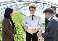 중동발 비료 원료 불안에 정부 대응 강화…재고 점검·수입선 대체 나선다