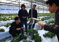 AI로 병충해 20% 줄이고 생산량 18% 늘렸다…송미령, 영월서 ‘농업 AX’ 현장 점검