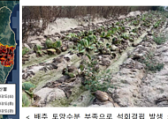 108년 만 가뭄·시간당 100㎜ 폭우…2025년 기후위기 현실화