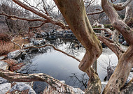 봄 오기 직전 한 톨 씨앗이 하는 일을 보라, 가히 우주적인 거사를…