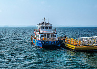 이토록 고요한 대숲의 평온, 죽도