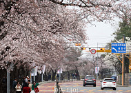 [내일 날씨] 전국 곳곳에 봄비…낮 최고 18도