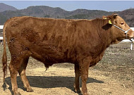 4년 연속 시수소 배출한 전북도