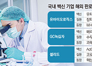 특허 추가하고 품목허가까지…해외서 잘 나가는 국산 백신[K백신 성공기①]