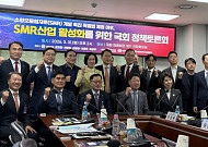 SMR 특별법 제정 이후…“산업화 위한 민간 참여 유인 마련해야”