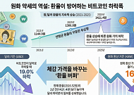 [넥스블록]환율 헷지는 역시 비트코인…가격 떨어졌는데 환율이 낙폭 상쇄