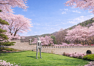 벚꽃과 전시 사이, 4월의 미술관