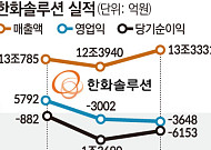 “번돈으로 이자도 못낸다”...美中 공세에 멀어지는 반등 [K-태양광 '돈맥경화']