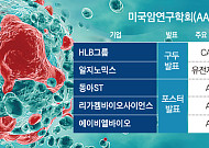 ‘국산 항암신약’ 미국 AACR 집결…기전·적응증 주목[항암시장 공략, K바이오①]