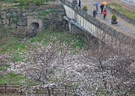 [내일날씨] 밤부터 전국 봄비…수도권 등 미세먼지 ‘나쁨’