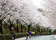 '남도여행' 숙박할인쿠폰...전남도 2만2000장 푼다