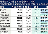AI 전력난이 키운 새 투자처…ESS·전력인프라, '넥스트 반도체' 될까