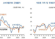 KDI "중동전쟁으로 경기 하방 위험 커져...물가 상승 확대 우려"