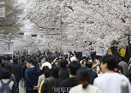 꽃길 걷다 전시 즐기고…은은한 조명 따라 낭만 산책