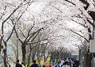 [내일날씨] 아침 최저 영하 2도 ‘꽃샘추위’⋯낮엔 기온 올라