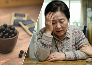 기억력 책임지는 해마, 한약으로 지킨다