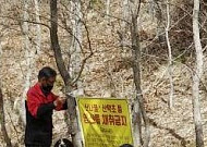 임산물 채취 등 봄철 산림 불법행위...전북도 특별단속