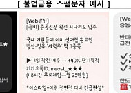 금감원, 불법금융 스팸 ‘AI로 차단’⋯탐지 속도·정밀도 높인다