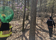 대전 오월드 늑대 탈출 이틀째…늑구 포획은 언제?
