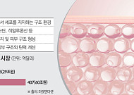 ‘볼륨→재생’ 전환…K에스테틱, ECM 포트폴리오 강화