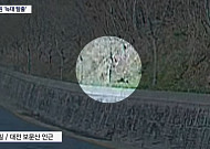 탈출 늑대 '늑구'는 어디에…사흘째 추적 속 '가짜 정보' 변수