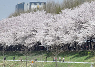 일교차 15도 '껑충'…나들이길 짙은 안개·황사 주의 [날씨]