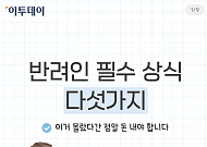 모르면 과태료...반려인 필수 상식 5가지 [카드뉴스]