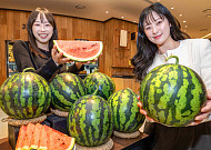 [포토] 현대그린푸드 “올해 첫 수확 ‘함안 수박’ 예약하세요”
