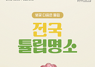 [카드뉴스] 지금이 절정, 전국 튤립 인생샷 스팟 5