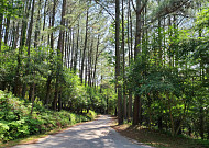 짧게 끝내던 임도공사 바꾼다…산림청, 5년 이상 ‘다년화’ 시범 착수