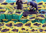 손흥민·이정후 앞세워 ‘김(GIM)’ 알린다…미국 공략 본격화